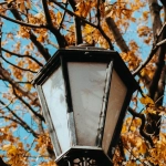 Антикварный анализ культовой слот-машины Wolf Gold эпохи цифрового ренессанса