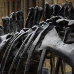 Античные мотивы в современной игровой культуре