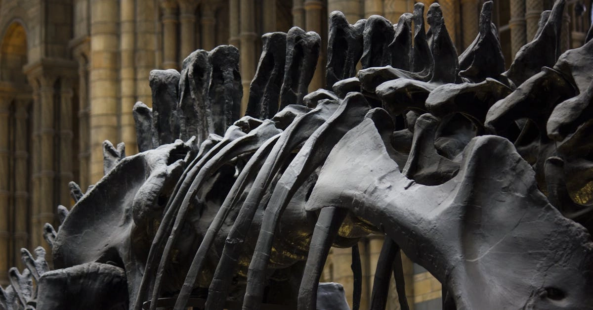 Античные мотивы в современной игровой культуре